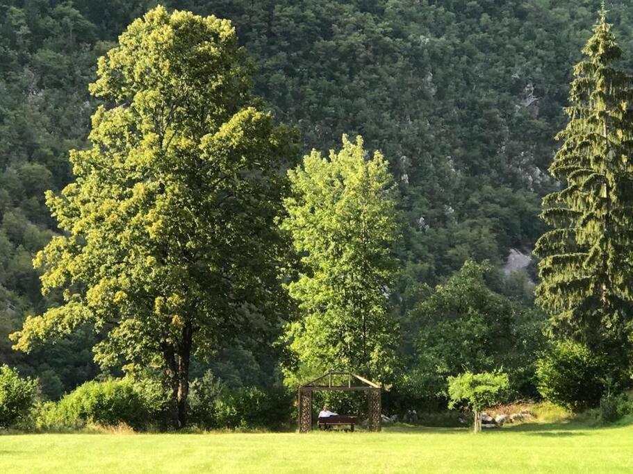 Cozy Cottage In The Heart Of The Triglav National Park Soča Exterior foto